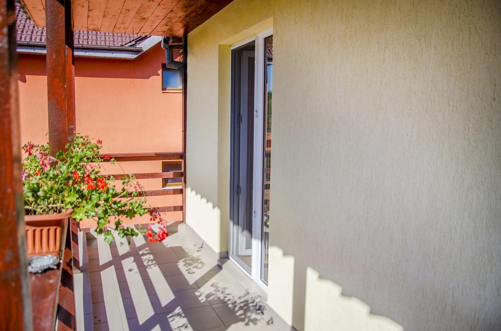 Pensiunea Krystinne Hunedoara Esterno foto