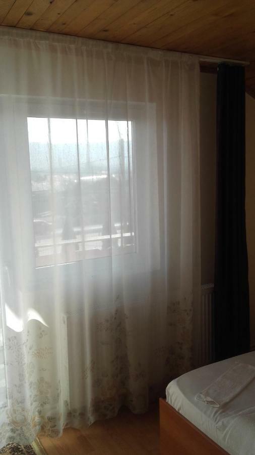 Pensiunea Krystinne Hunedoara Esterno foto